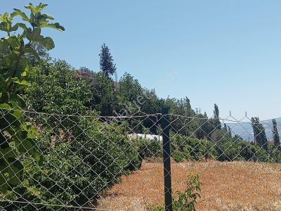 Arsa-Bağ & Bahçe
