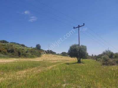 Arsa-Tarla