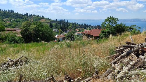 Arsa-Konut İmarlı