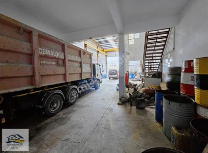 İşyeri-Dükkan & Mağaza