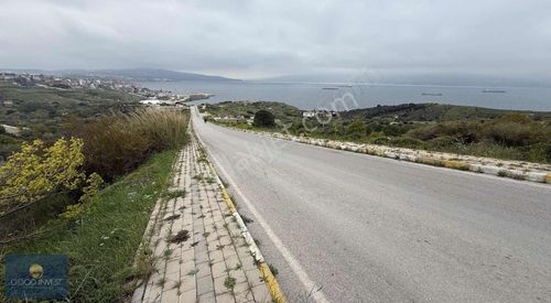 Arsa-Zeytinlik
