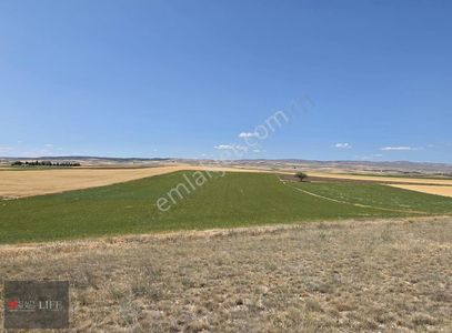 Arsa-Tarla