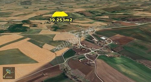 Arsa-Tarla