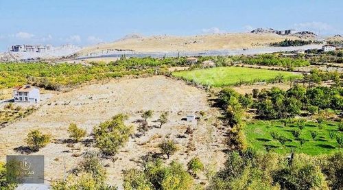 Arsa-Bağ & Bahçe