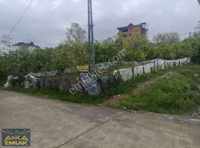 Arsa-Konut İmarlı