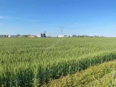 Arsa-Tarla