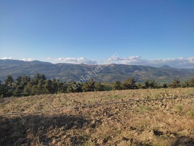 Arsa-Tarla
