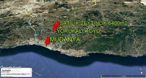 Arsa-Zeytinlik