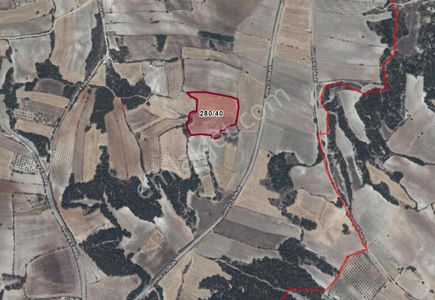 Arsa-Tarla