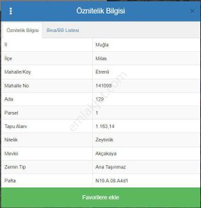 Arsa-Zeytinlik
