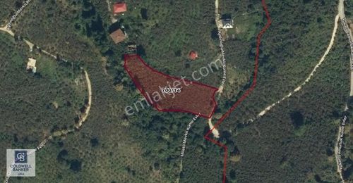 Arsa-Tarla