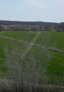 Arsa-Tarla