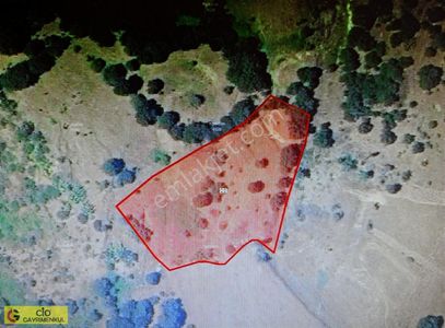 Arsa-Tarla