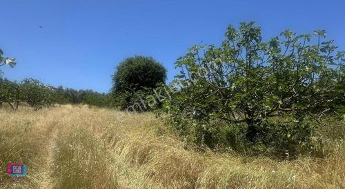 Arsa-Ticari İmarlı