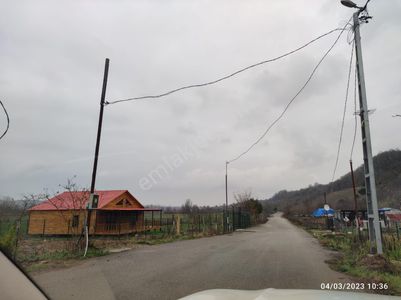 Arsa-Tarla