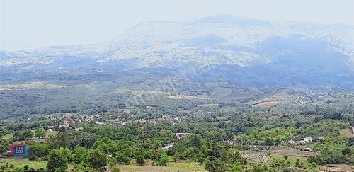 Arsa-Tarla