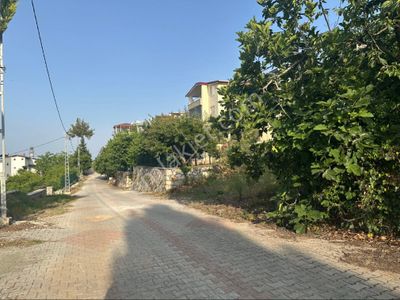 Arsa-Konut İmarlı