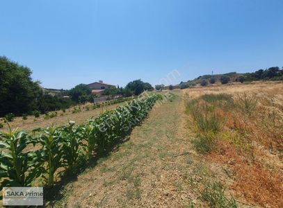 Arsa-Tarla