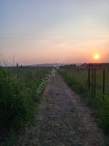 Arsa-Tarla