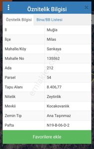 Arsa-Zeytinlik