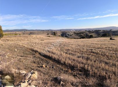 Arsa-Tarla