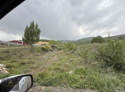 Arsa-Bağ & Bahçe