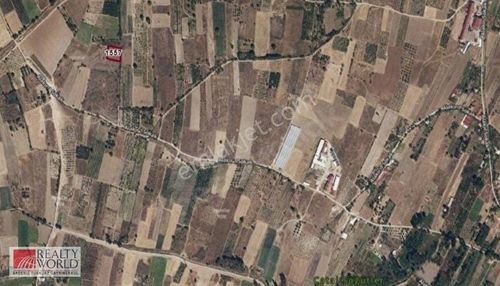 Arsa-Tarla