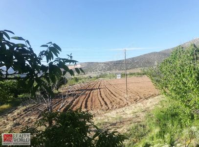 Arsa-Tarla