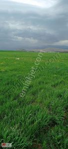 Arsa-Tarla