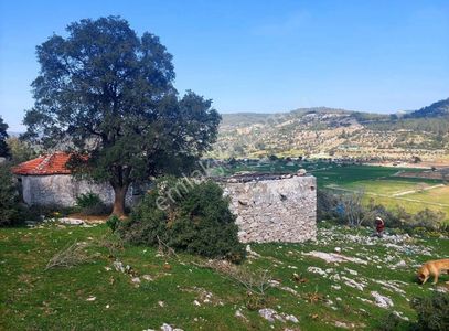 Arsa-Konut İmarlı