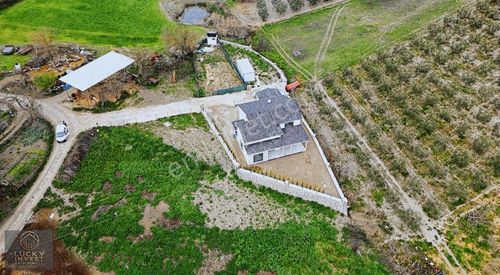 Arsa-Konut İmarlı