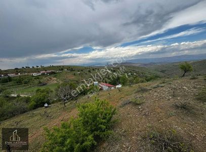 Arsa-Bağ & Bahçe