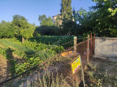 Arsa-Konut İmarlı