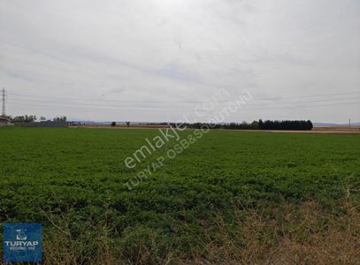 Arsa-Tarla