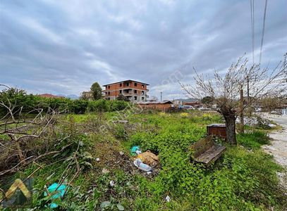Arsa-Konut İmarlı
