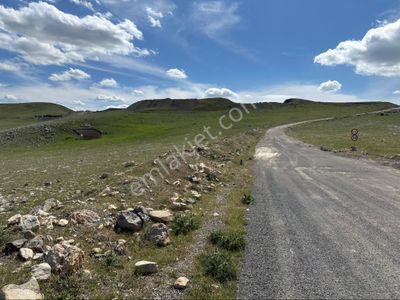 Arsa-Tarla