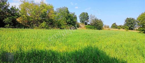 Arsa-Tarla