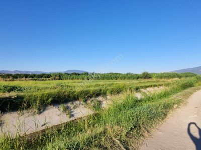 Arsa-Tarla