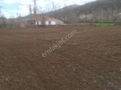 Arsa-Villa İmarlı