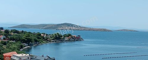 Arsa-Zeytinlik