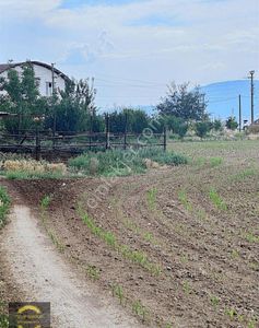 Arsa-Tarla