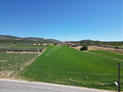 Arsa-Tarla