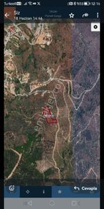 Arsa-Zeytinlik