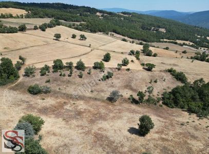 Arsa-Tarla