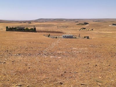 Arsa-Konut İmarlı