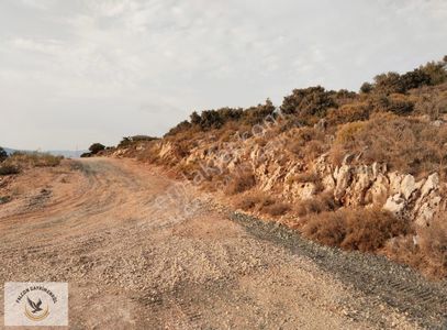 Arsa-Konut İmarlı