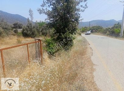 Arsa-Konut İmarlı