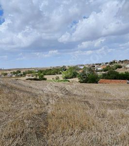 Arsa-Tarla