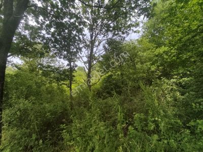 Arsa-Konut İmarlı