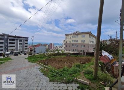 Arsa-Konut İmarlı